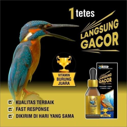 Agen Gacor Alternatif: Solusi Terbaik untuk Mendapatkan Burung Berkualitas