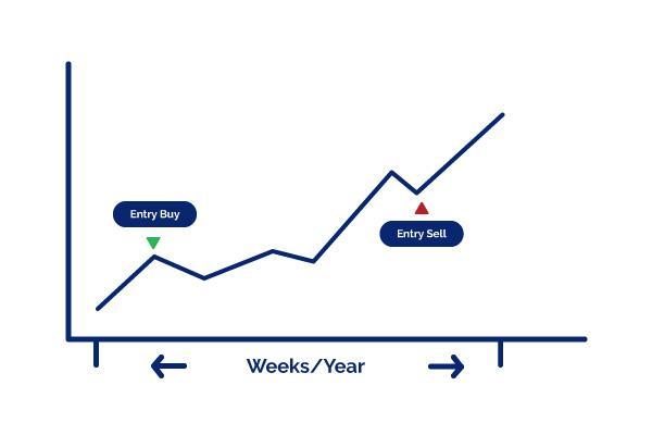 Daftar Depo 5k: Tips dan Panduan Lengkap untuk Memulai Trading online